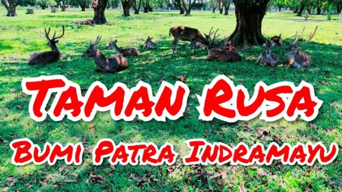 taman rusa bumi patra indramayu