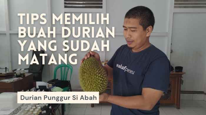 penyebab durian tidak matang