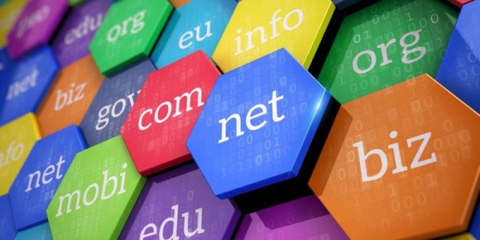 domain name untuk organisasi yaitu terbaru