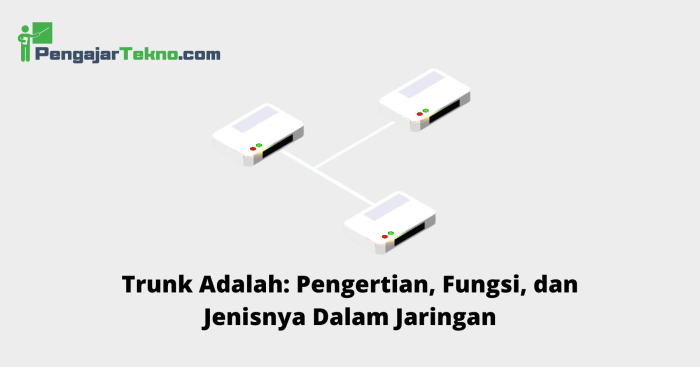 fungsi dari trunk adalah