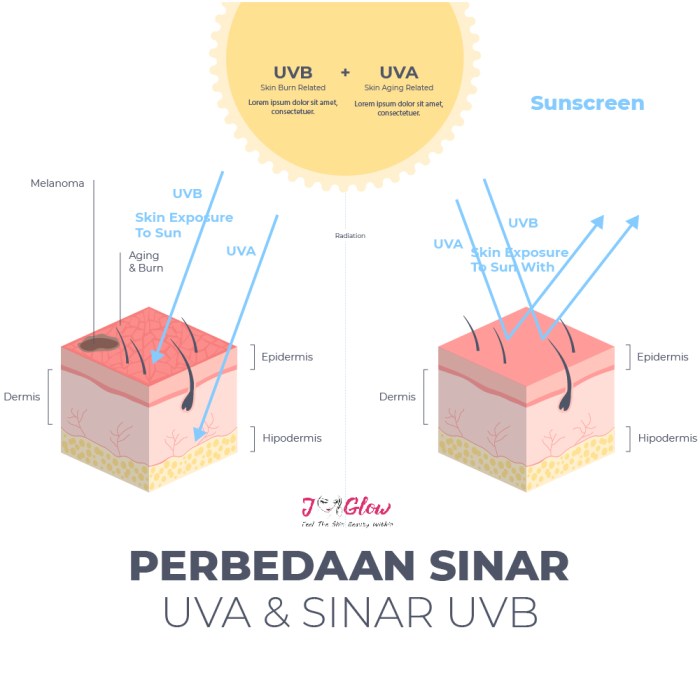 perbedaan sinar dan cahaya