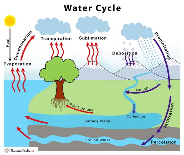 explanation text about water cycle