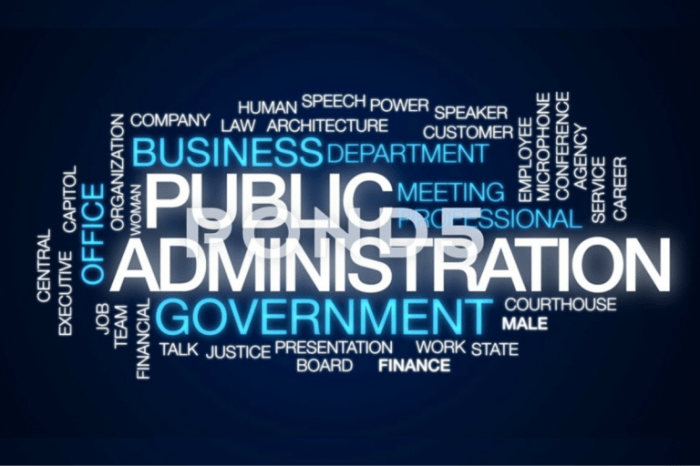 old public administration adalah