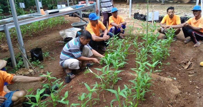 contoh program pemberdayaan masyarakat terbaru