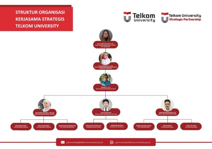 organisasi struktur sejarah