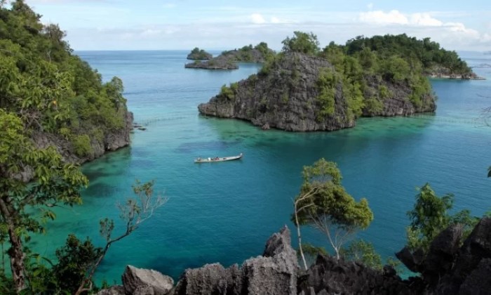 latar belakang sulawesi selatan terbaru