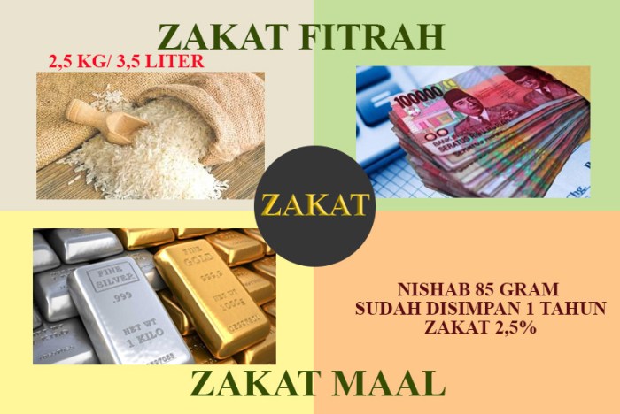 macam macam zakat fitrah terbaru