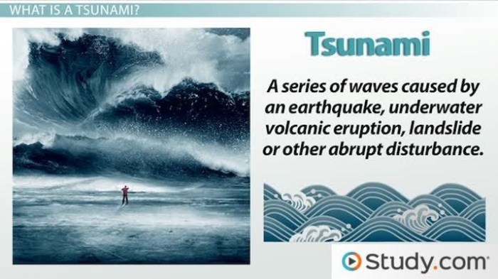 contoh explanation text tsunami