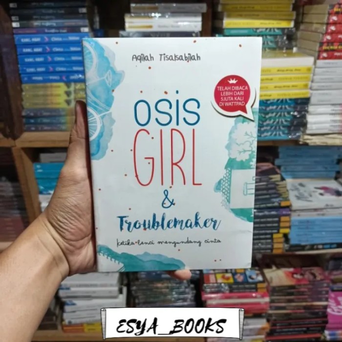 resensi novel osis girl and troublemaker terbaru