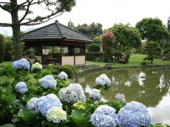 taman dalam bahasa jepang terbaru