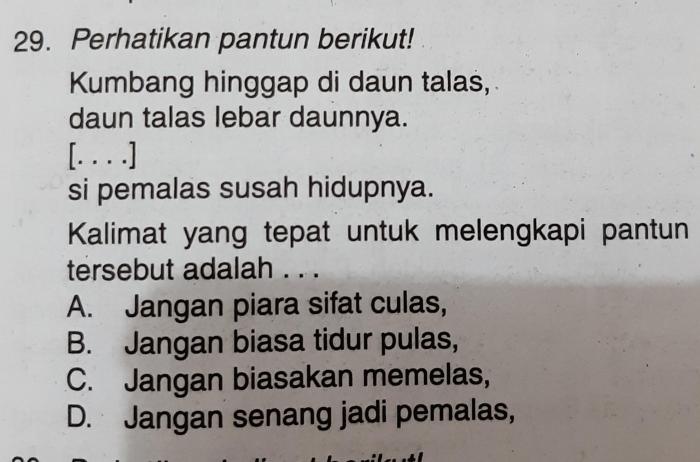 pantun larik