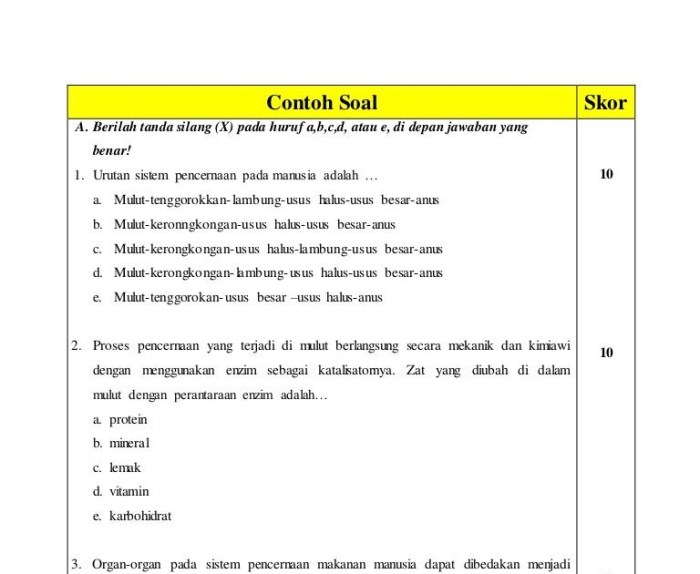 contoh soal short answer