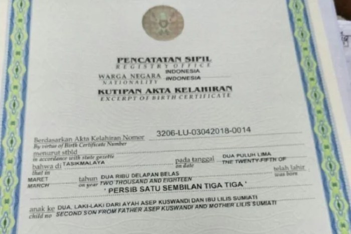 Cara melihat nomor registrasi akta kelahiran