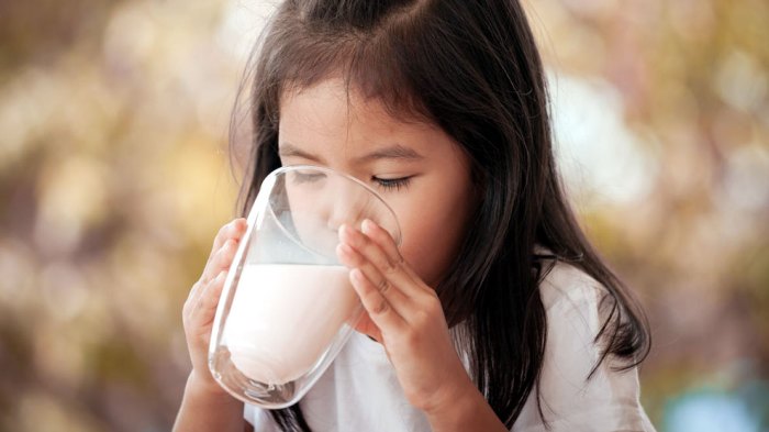 Manfaat susu hilo school untuk usia berapa