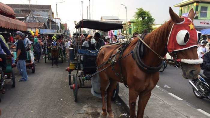 kereta kuda sewaan di yogyakarta terbaru