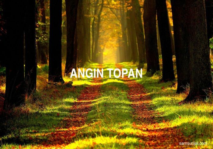 bahasa inggris angin topan