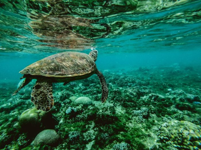 kemasan plastik terangkan mengenai juta sekali pakai kantong menghasilkan styrofoam maka sehari botol bentuk teknologi reka