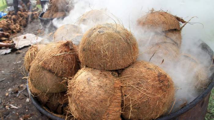 teknik pembuatan tempurung kelapa