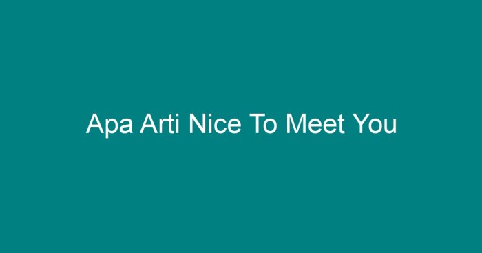 apa arti nice to meet you too