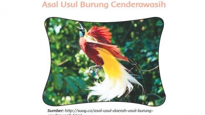 cerita pendek tentang burung