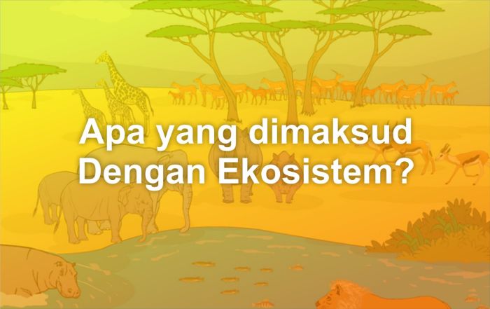 apa yang dimaksud intensifikasi