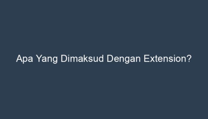 apa yang dimaksud dengan extension terbaru