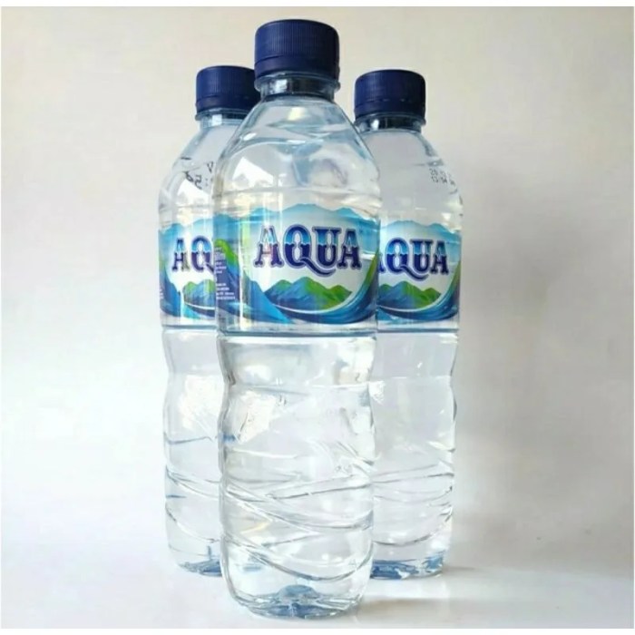 botol 600ml pcs harga