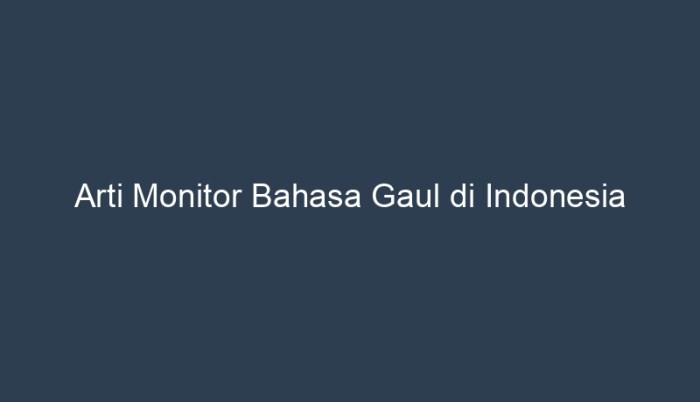 arti monitor bahasa gaul