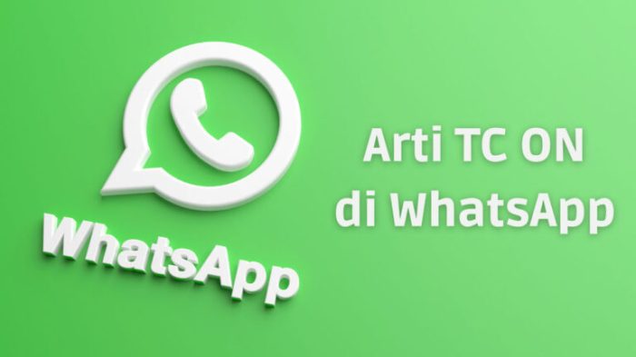 arti tc di wa dan balasannya terbaru