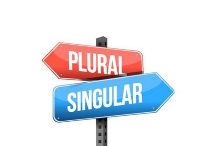contoh kalimat singular dan plural terbaru