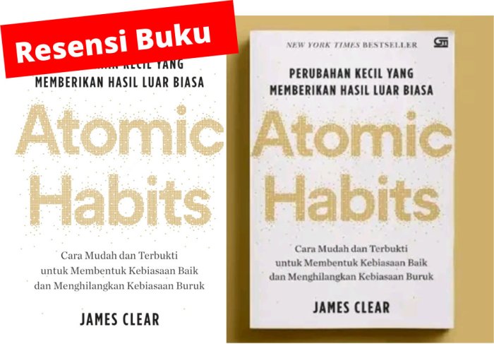 resensi buku biasa kita temui di terbaru