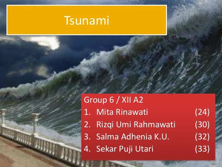 we understand from the text that tsunami terbaru