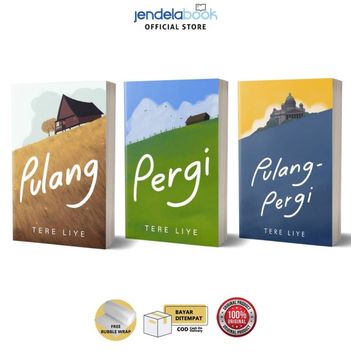 sinopsis novel pergi tere liye