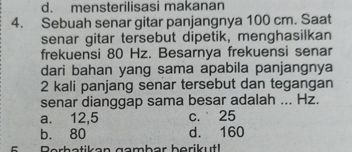 sebuah senar gitar panjangnya 100 cm