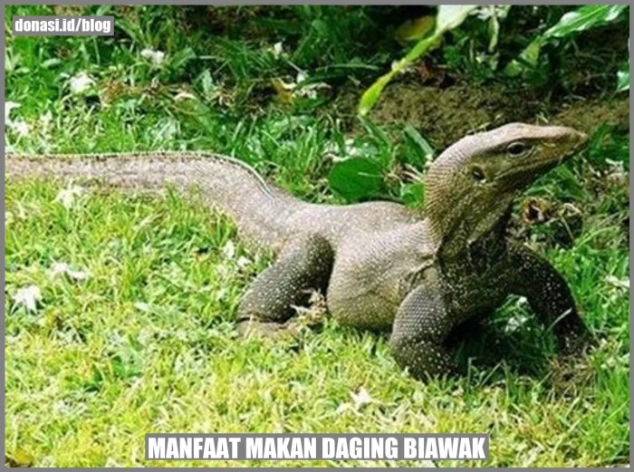 biawak daging apakah memakan hukumnya pertanyaan