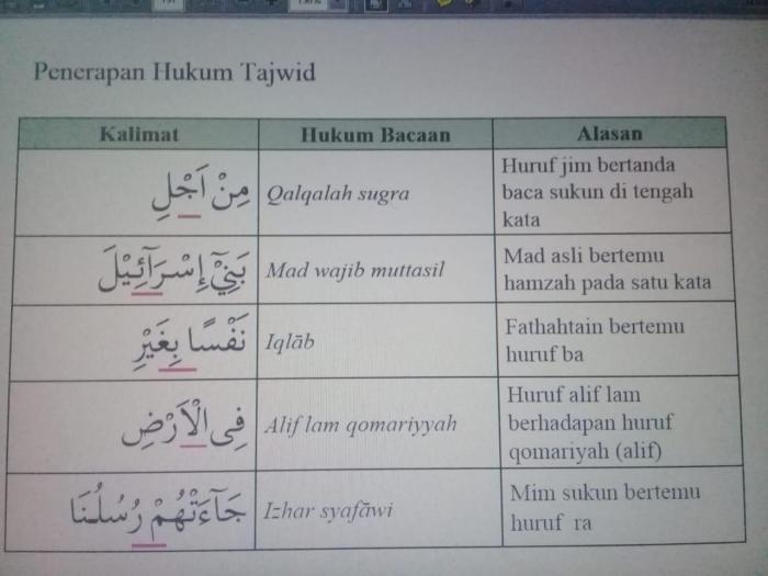 ayat di atas mengandung arti terbaru