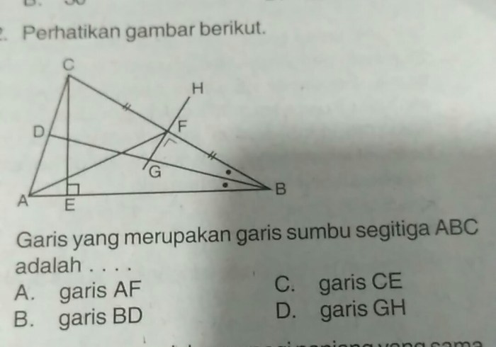 garis sumbu pada segitiga