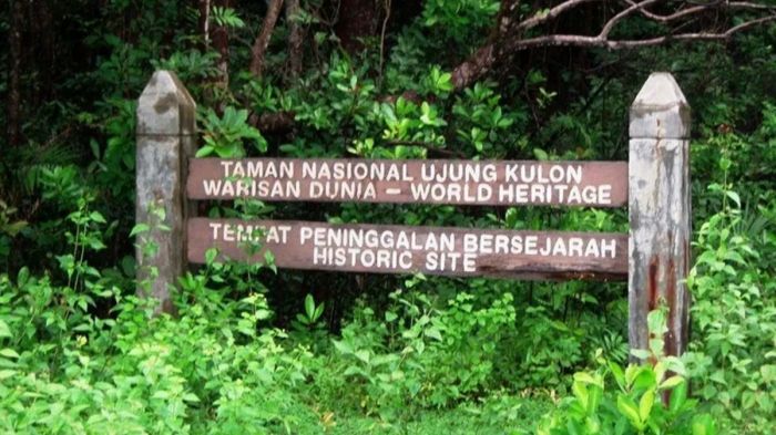 taman nasional bunaken melindungi hewan terbaru