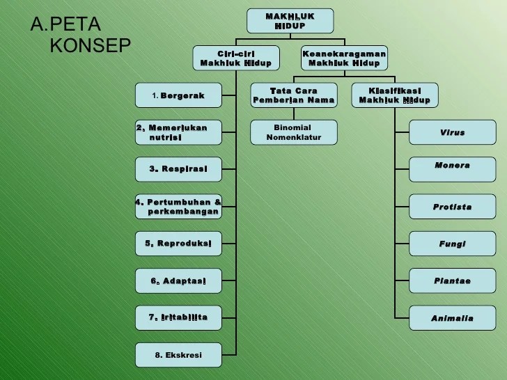 peta konsep klasifikasi makhluk hidup terbaru