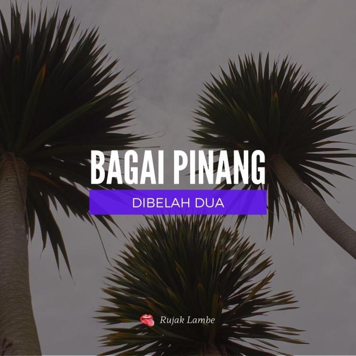 bagai pinang dibelah dua