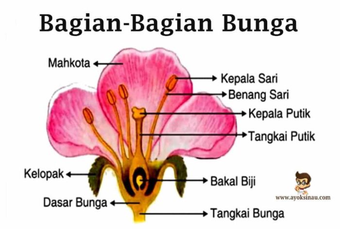 soal tentang bagian bagian bunga terbaru