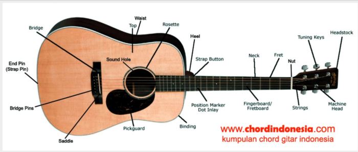 gitar elektrik anatomi tambahan