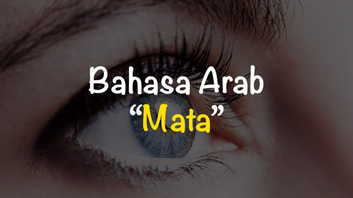 bahasa arabnya bulu mata