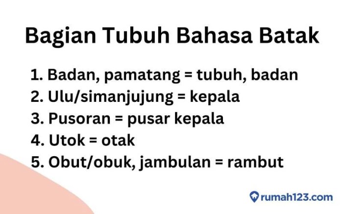 eda bahasa batak artinya