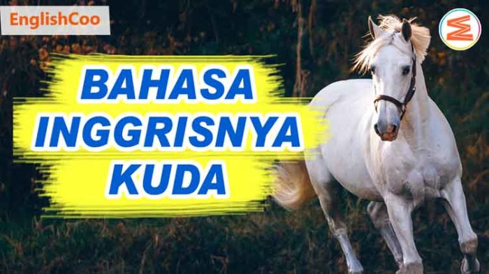 deskripsi kuda dalam bahasa inggris terbaru