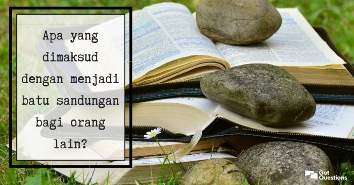 apa yang dimaksud punggung buku