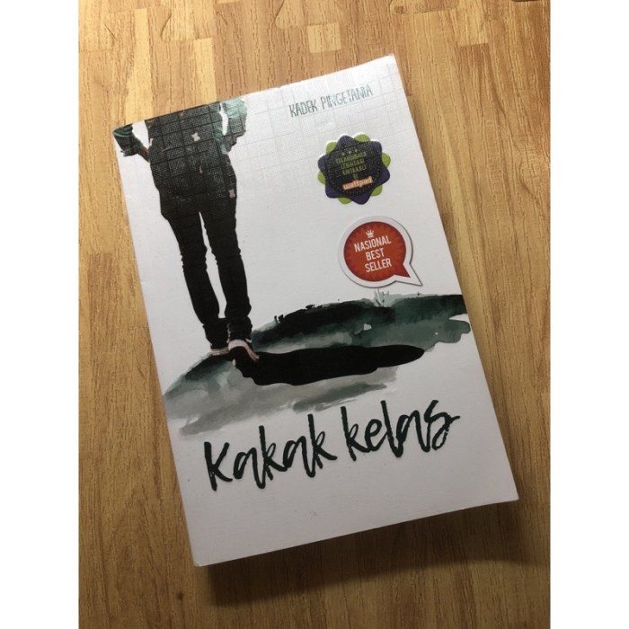 sinopsis novel kakak kelas