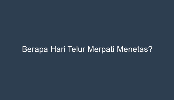 berapa hari merpati menetas terbaru