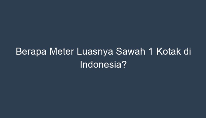 persegi sawah meter