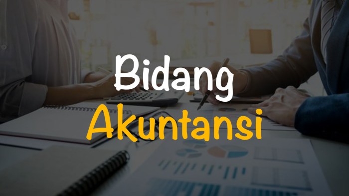 jelaskan bidang bidang akuntansi